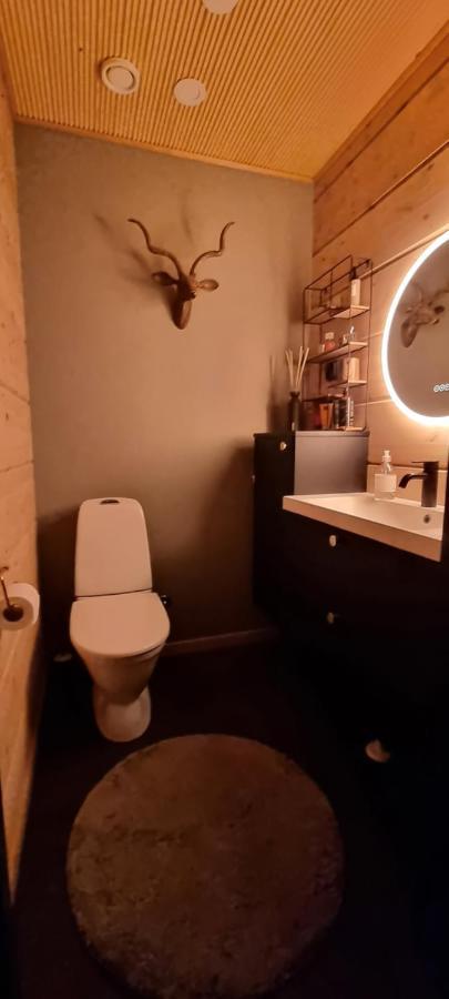 Luxury Villa Rauhankatu Rovaniemi Luaran gambar